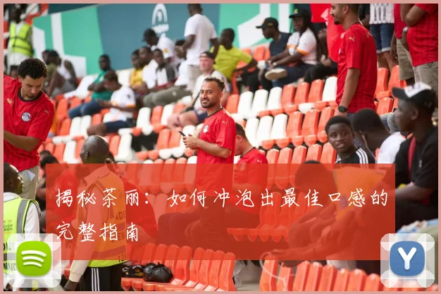揭秘茶丽：如何冲泡出最佳口感的完整指南