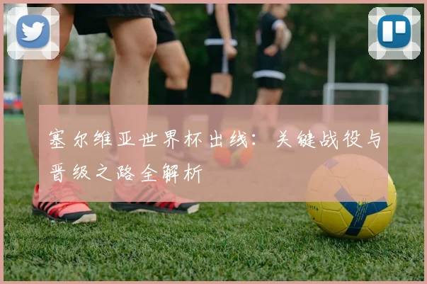 塞尔维亚世界杯出线：关键战役与晋级之路全解析